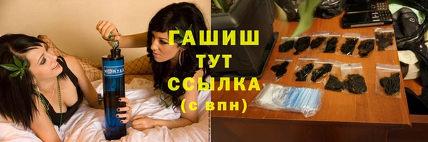 индика Переславль-Залесский