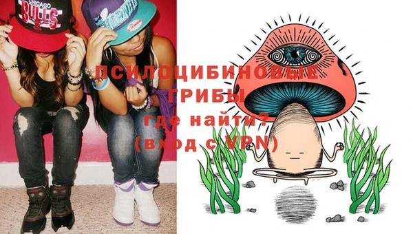 spice Абаза