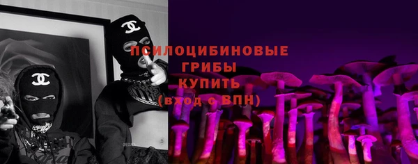spice Абаза