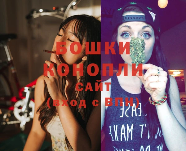 индика Переславль-Залесский
