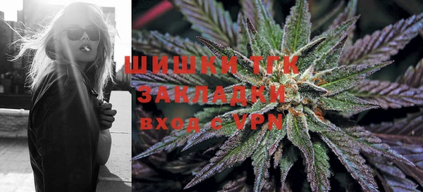 индика Переславль-Залесский