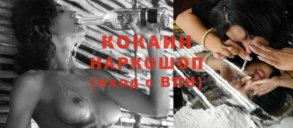 spice Абаза