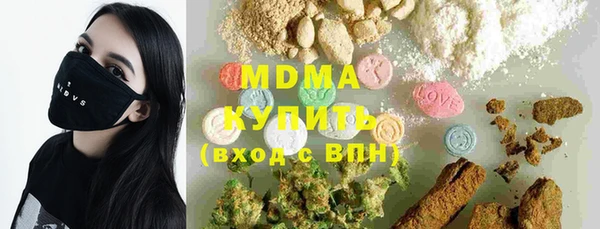 индика Переславль-Залесский