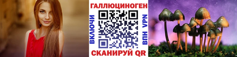 mega зеркало  Боровичи  Псилоцибиновые грибы Cubensis  наркота 